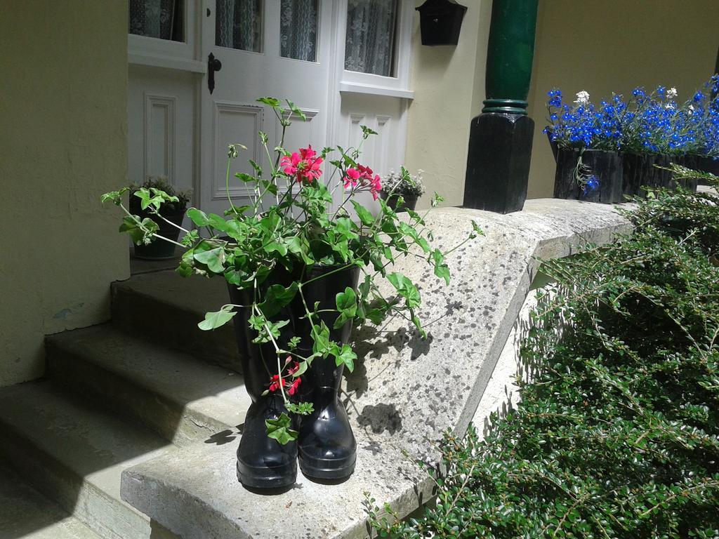 Bed and Breakfast Westleigh House Farm Бидефорд Номер фото